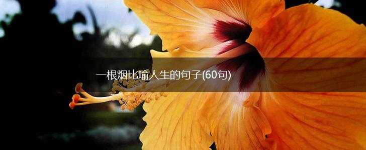 一根烟比喻人生的句子(60句),第1张