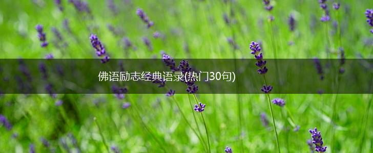 佛语励志经典语录(热门30句),第1张