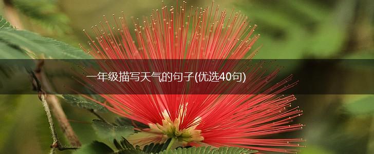 一年级描写天气的句子(优选40句),第1张