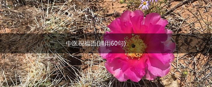 中医祝福语(通用60句),第1张