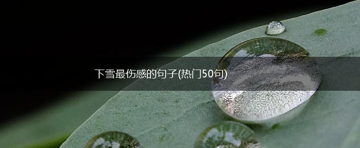 下雪最伤感的句子(热门50句),第1张