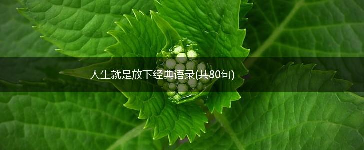 人生就是放下经典语录(共80句),第1张