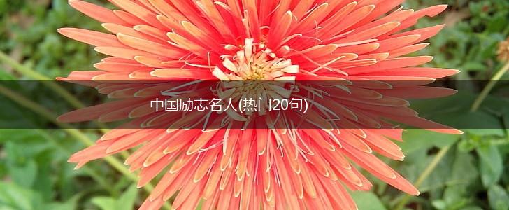 中国励志名人(热门20句),第1张