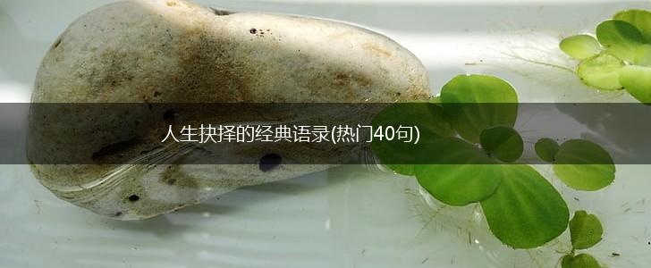 人生抉择的经典语录(热门40句),第1张