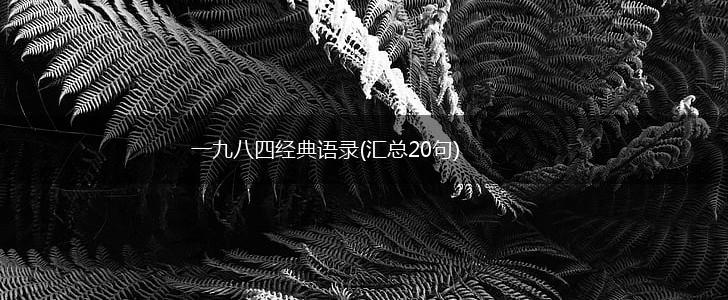 一九八四经典语录(汇总20句),第1张