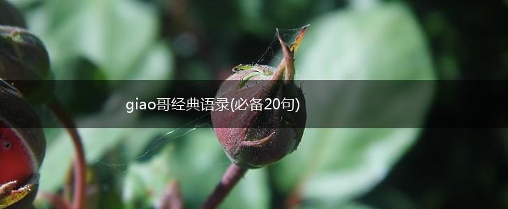 giao哥经典语录(必备20句),第1张