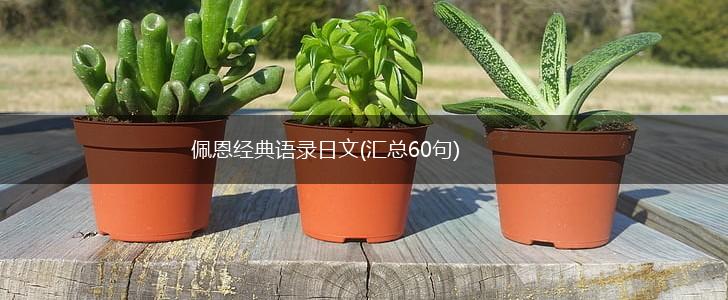 佩恩经典语录日文(汇总60句),第1张