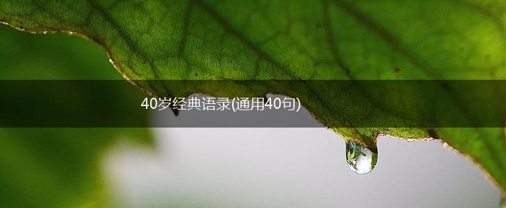 40岁经典语录(通用40句),第1张
