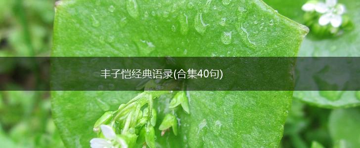 丰子恺经典语录(合集40句),第1张