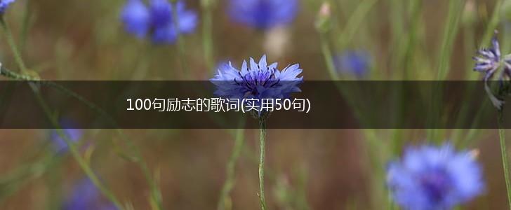 100句励志的歌词(实用50句),第1张