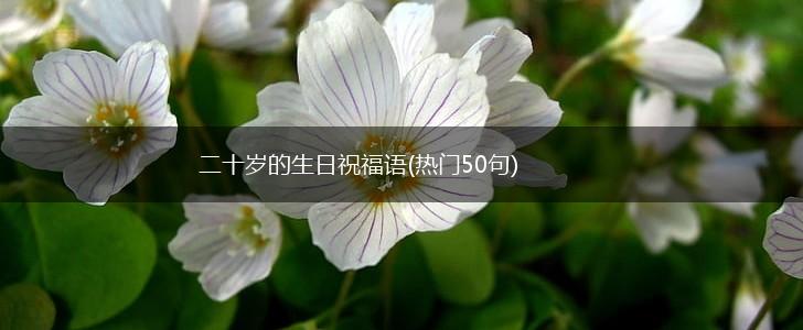 二十岁的生日祝福语(热门50句),第1张