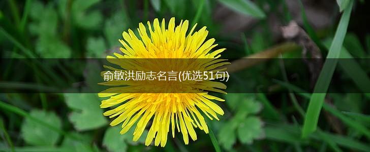 俞敏洪励志名言(优选51句),第1张