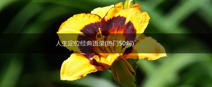 人生定位经典语录(热门50句),第1张