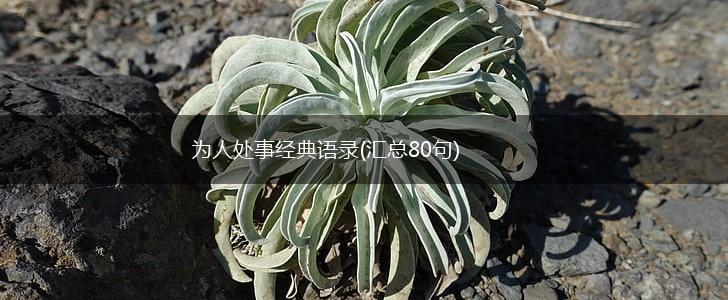 为人处事经典语录(汇总80句),第1张