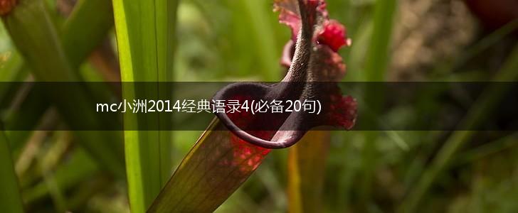 mc小洲2014经典语录4(必备20句),第1张