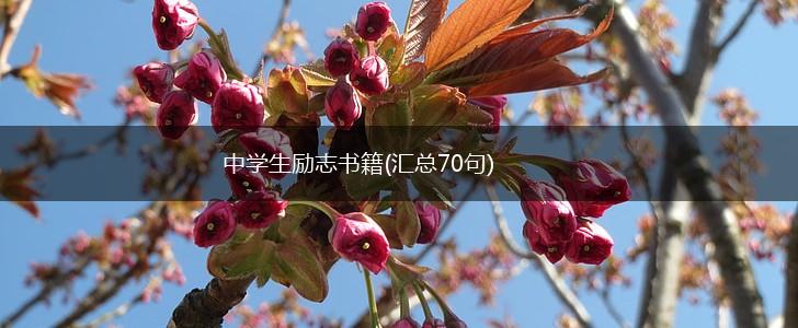 中学生励志书籍(汇总70句),第1张