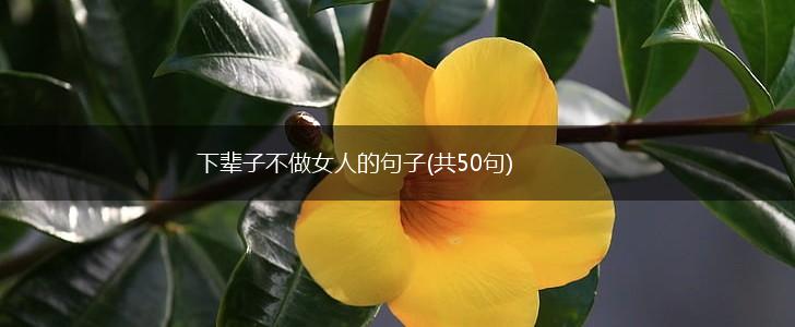 下辈子不做女人的句子(共50句),第1张