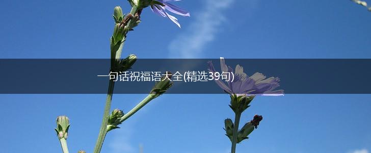 一句话祝福语大全(精选39句),第1张