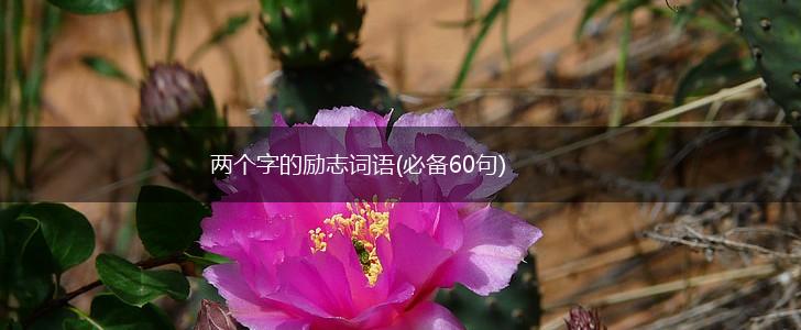 两个字的励志词语(必备60句),第1张