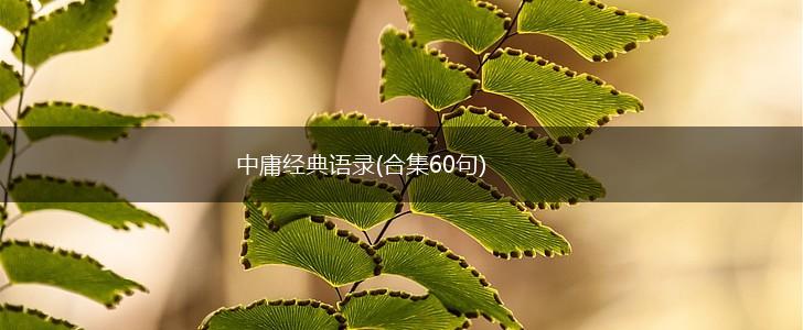 中庸经典语录(合集60句),第1张