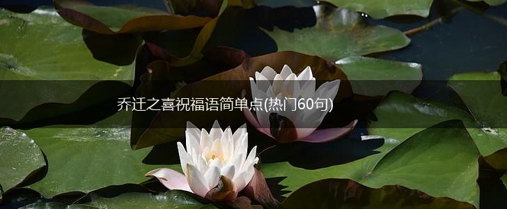 乔迁之喜祝福语简单点(热门60句),第1张