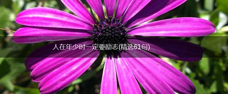 人在年少时一定要励志(精选61句),第1张