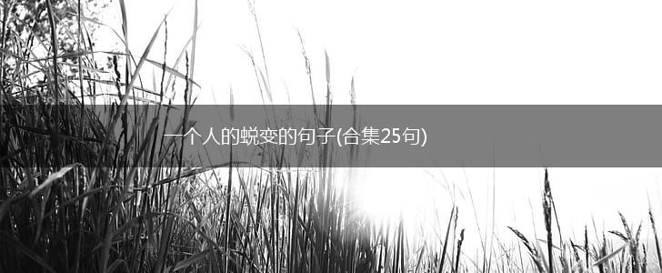 一个人的蜕变的句子(合集25句),第1张