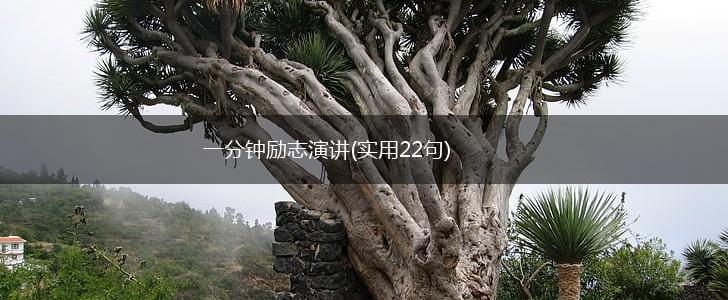 一分钟励志演讲(实用22句),第1张