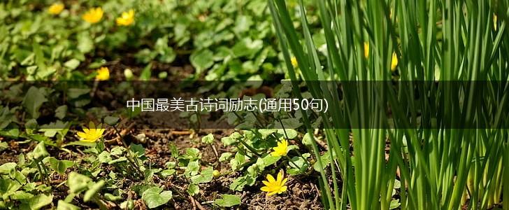中国最美古诗词励志(通用50句),第1张