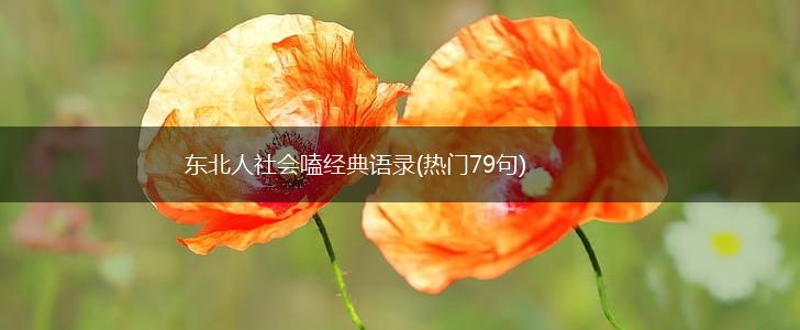 东北人社会嗑经典语录(热门79句),第1张