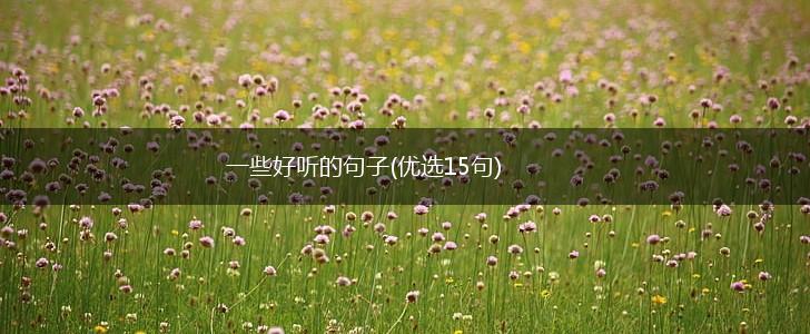 一些好听的句子(优选15句),第1张