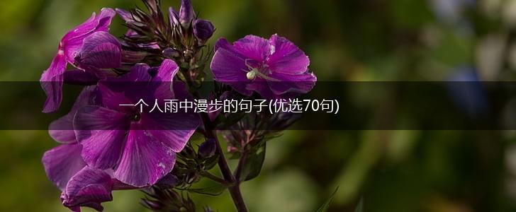 一个人雨中漫步的句子(优选70句),第1张