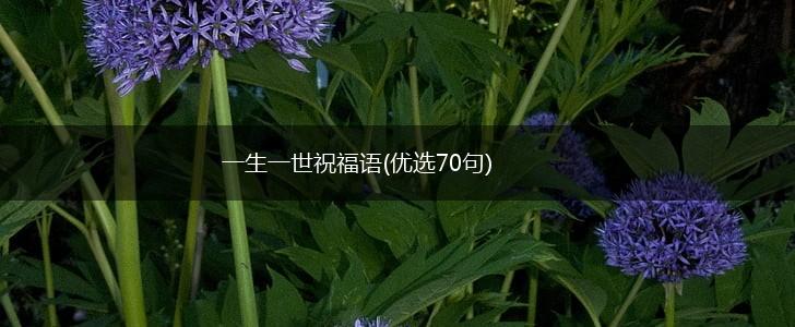 一生一世祝福语(优选70句),第1张