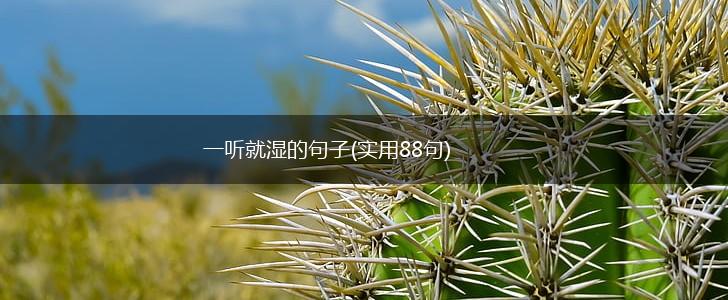 一听就湿的句子(实用88句),第1张