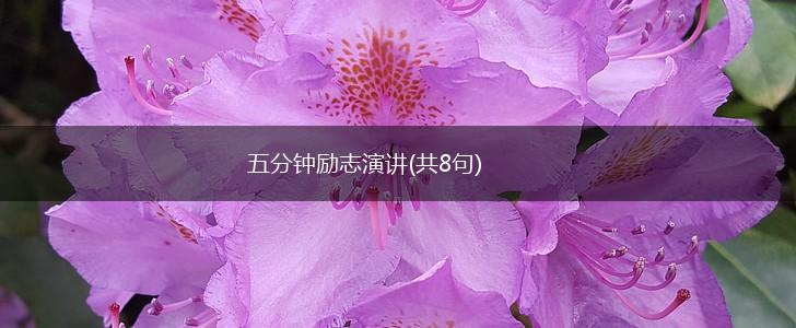 五分钟励志演讲(共8句),第1张