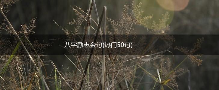 八字励志金句(热门50句),第1张