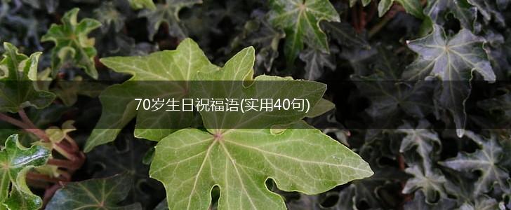 70岁生日祝福语(实用40句),第1张