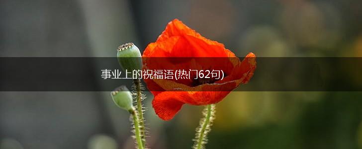 事业上的祝福语(热门62句),第1张