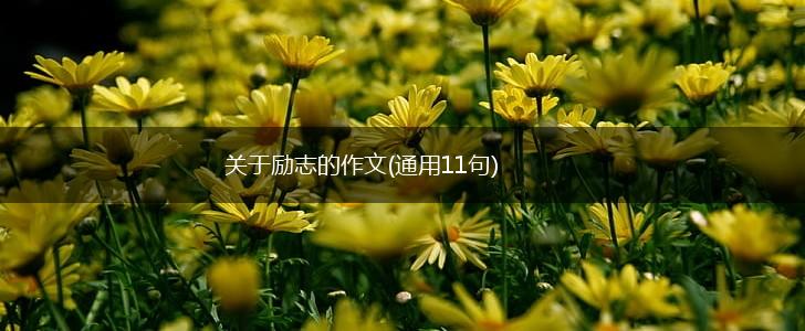 关于励志的作文(通用11句),第1张