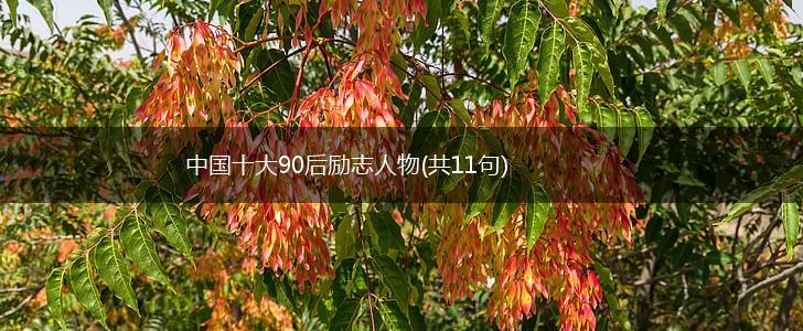 中国十大90后励志人物(共11句),第1张