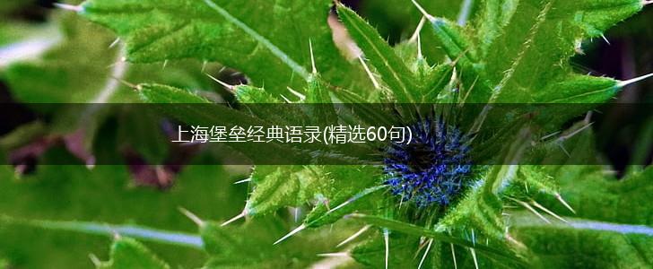 上海堡垒经典语录(精选60句),第1张