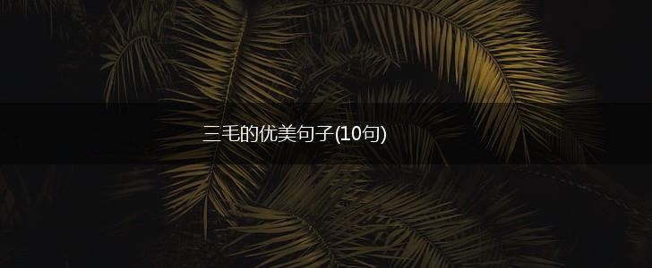 三毛的优美句子(10句),第1张
