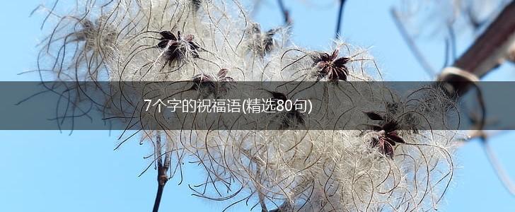 7个字的祝福语(精选80句),第1张