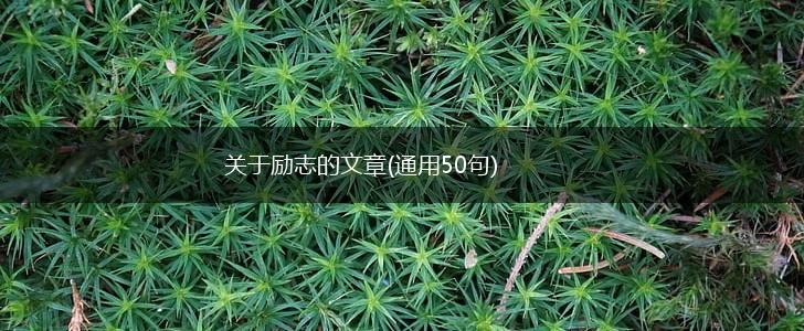 关于励志的文章(通用50句),第1张