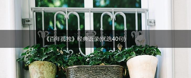 《百年孤独》经典语录(优选40句),第1张