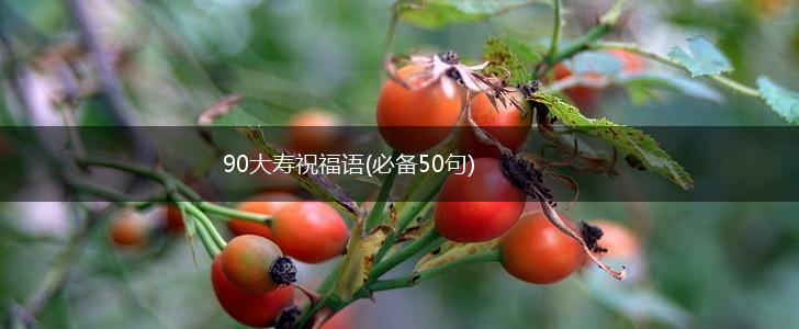 90大寿祝福语(必备50句),第1张