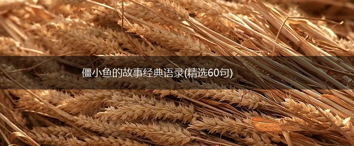 僵小鱼的故事经典语录(精选60句),第1张