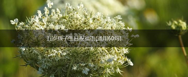 五岁孩子生日祝福语(通用60句),第1张