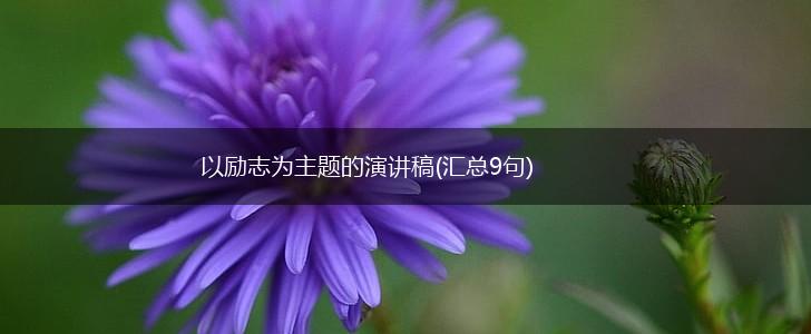 以励志为主题的演讲稿(汇总9句),第1张