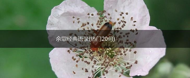 余罪经典语录(热门20句),第1张